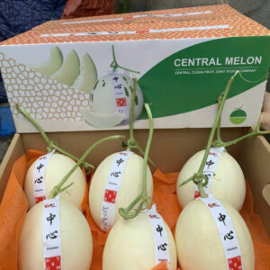 Central Melon (1)
