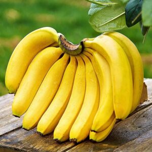 Fresh Big Cavendish Bananas