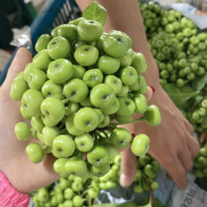 Green Figs (1)