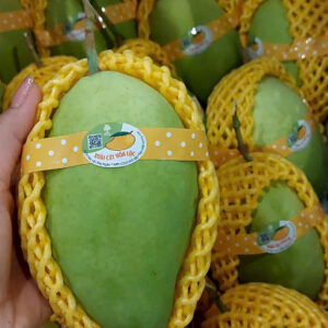 Hoa Loc Mango