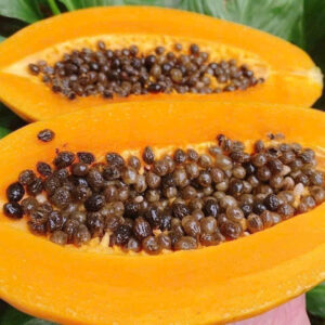 Fresh Papaya (1)