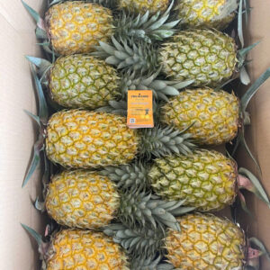 Fresh Pineapples (1)
