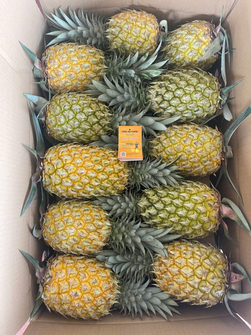 Fresh Pineapples (2)