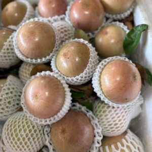 Pink Star Apple