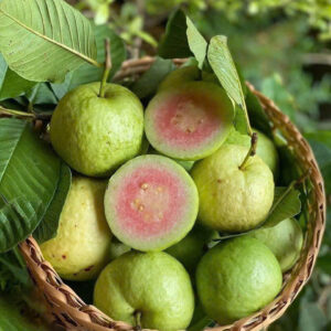 Ruby Guavas