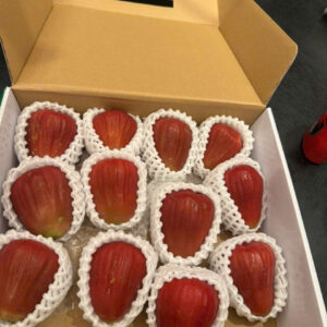 Fresh Wax Apples (1)