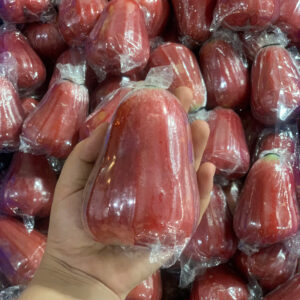 Red Wax Apples