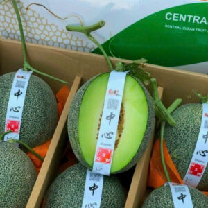 Melons (1)