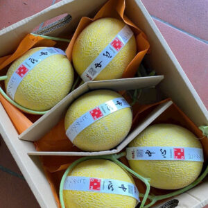 Premium Melons (1)