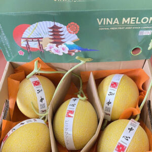 Vina Melon (1)